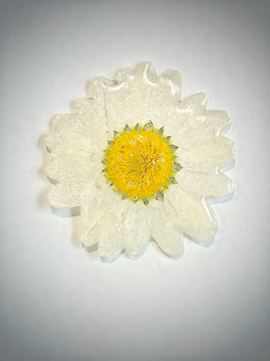 Daisy Resin Pin